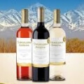 Vinhos Garrafa 750ml